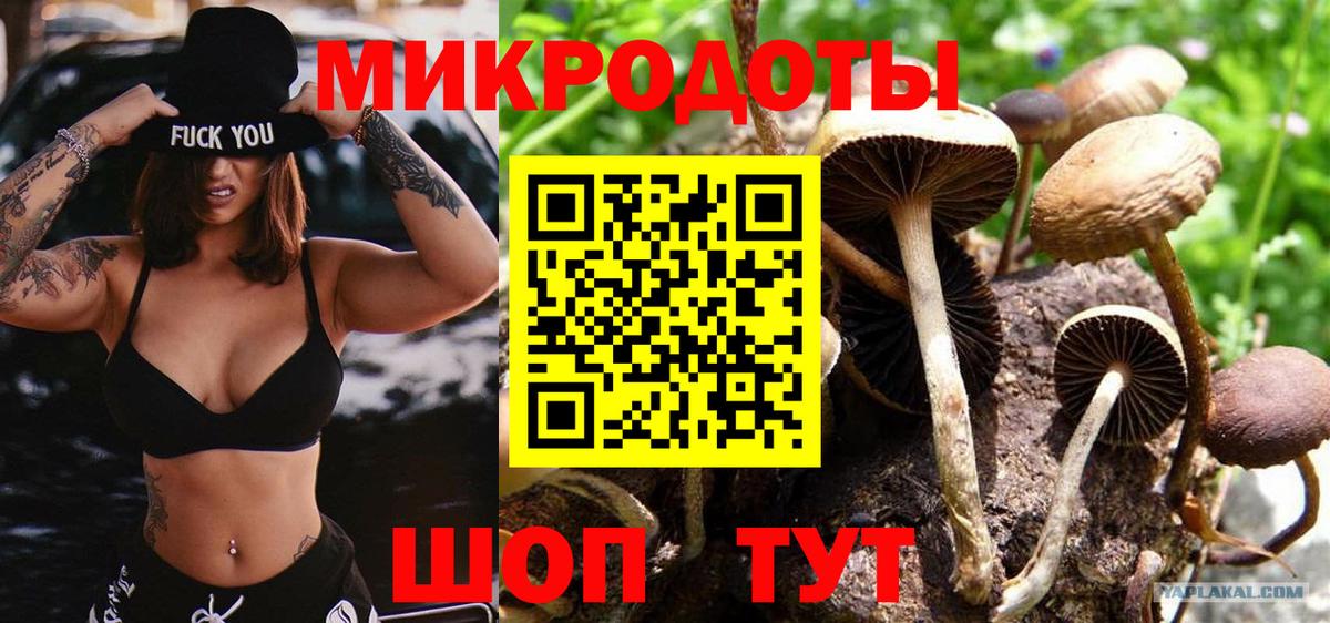 Галлюциногенные грибы мухоморы Жуковский